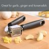 7.7in Ergonomic Lightweight Stainless Steel Garlic Press